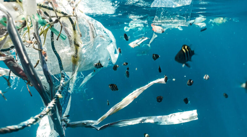 Umweltproblem Plastik im Ozean: Electrolux und Big Blue Ocean Cleanup engagieren sich gemeinsam dagegen