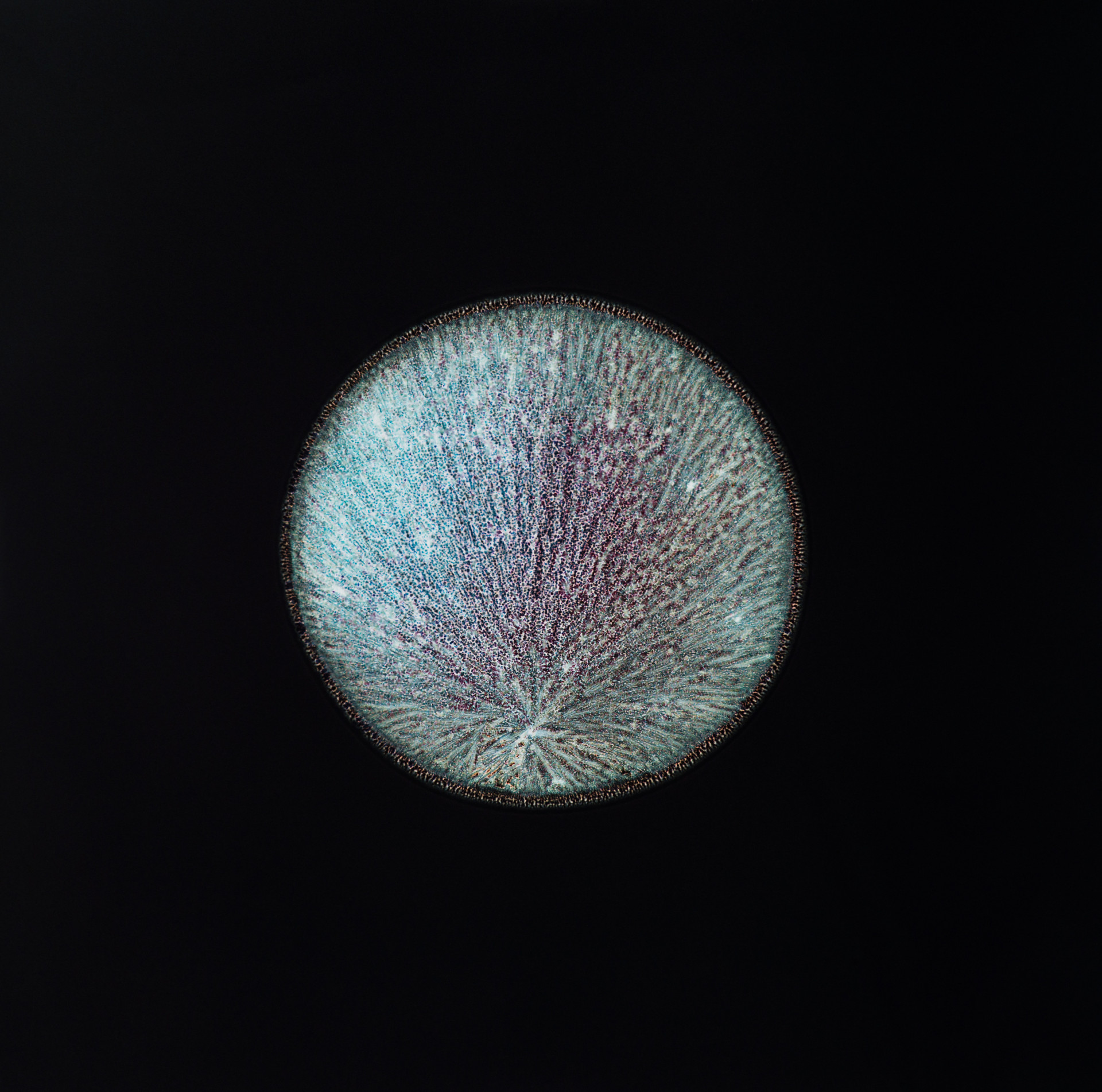 Sarah Schönfeld, All You Can Feel/ Planets, Dopamine, 2013, dopamine on photo negative, enlarged as C-Print, 70 x 70 cm (TECHNO WORLDS)